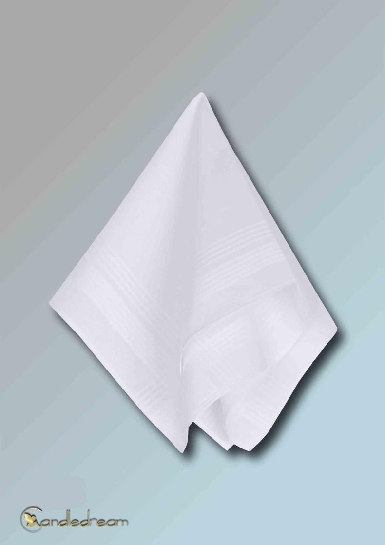 12 Stück reinweiße Damen Taschentücher Satin Kanten Stofftaschentücher Nastücher