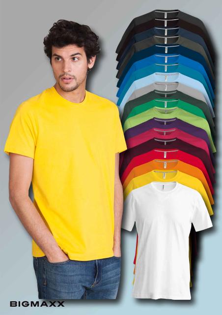 KARIBAN Herren Kurzarm T-Shirt mit Rundhals in 19 Farben Gr S bis 4XL
